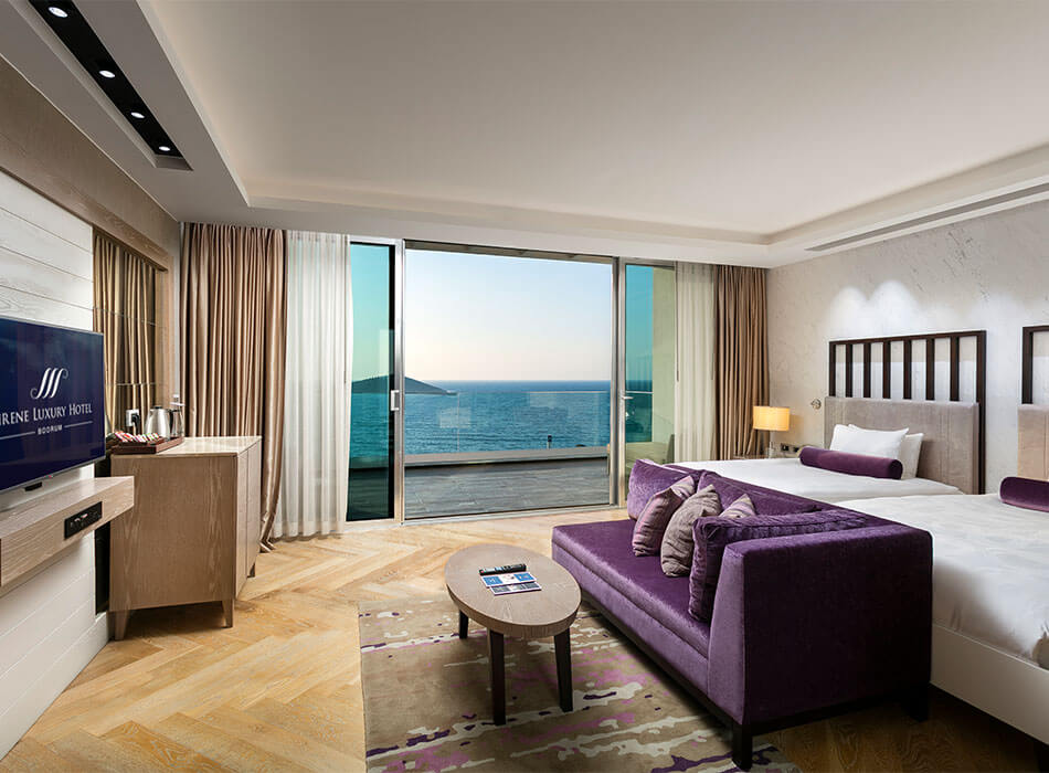 Executive İki Yatak Odalı Suit - 3